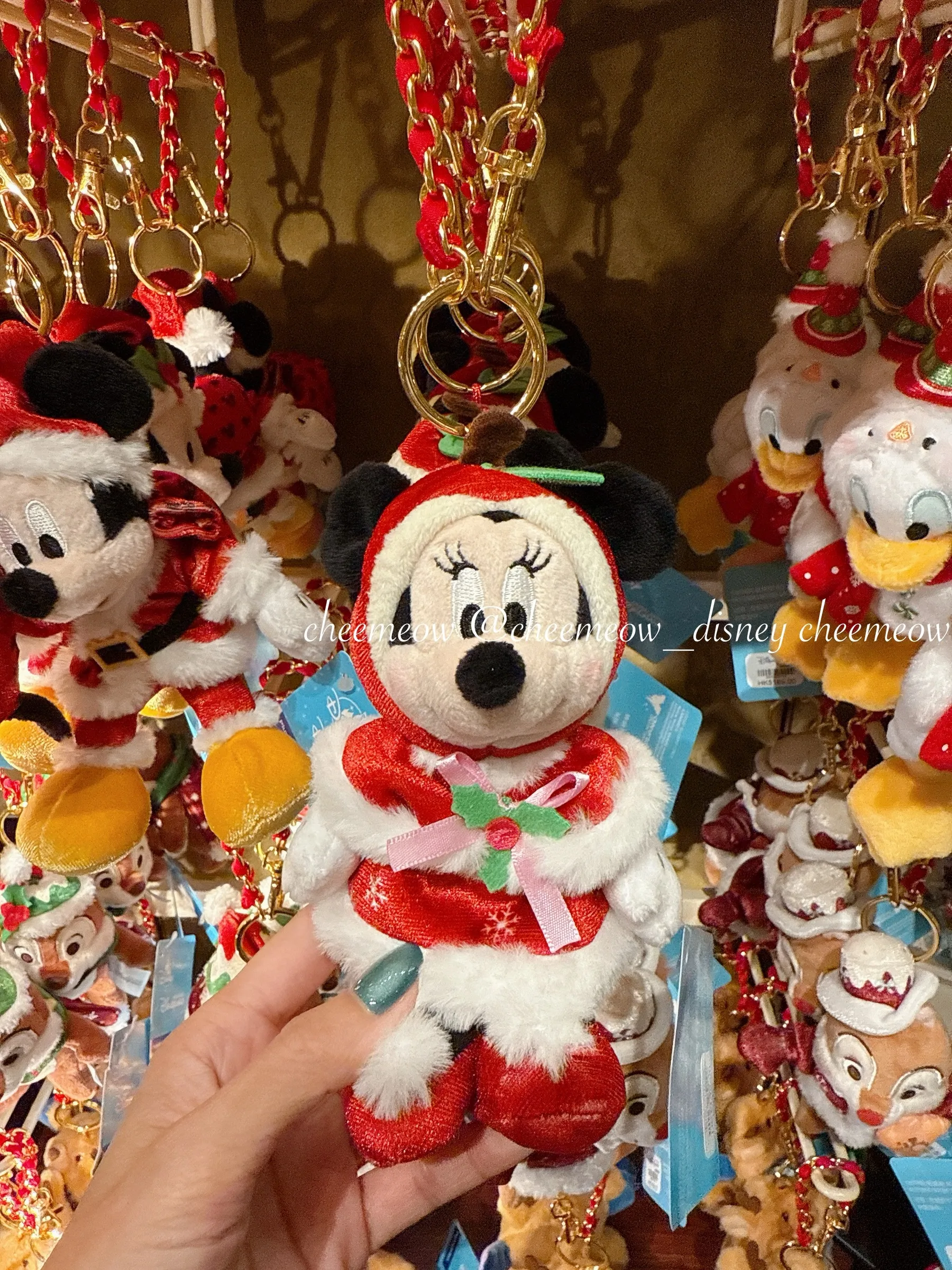 image_3CC62112-2A03-4131-A126-FAF9396D0F23_1764776528