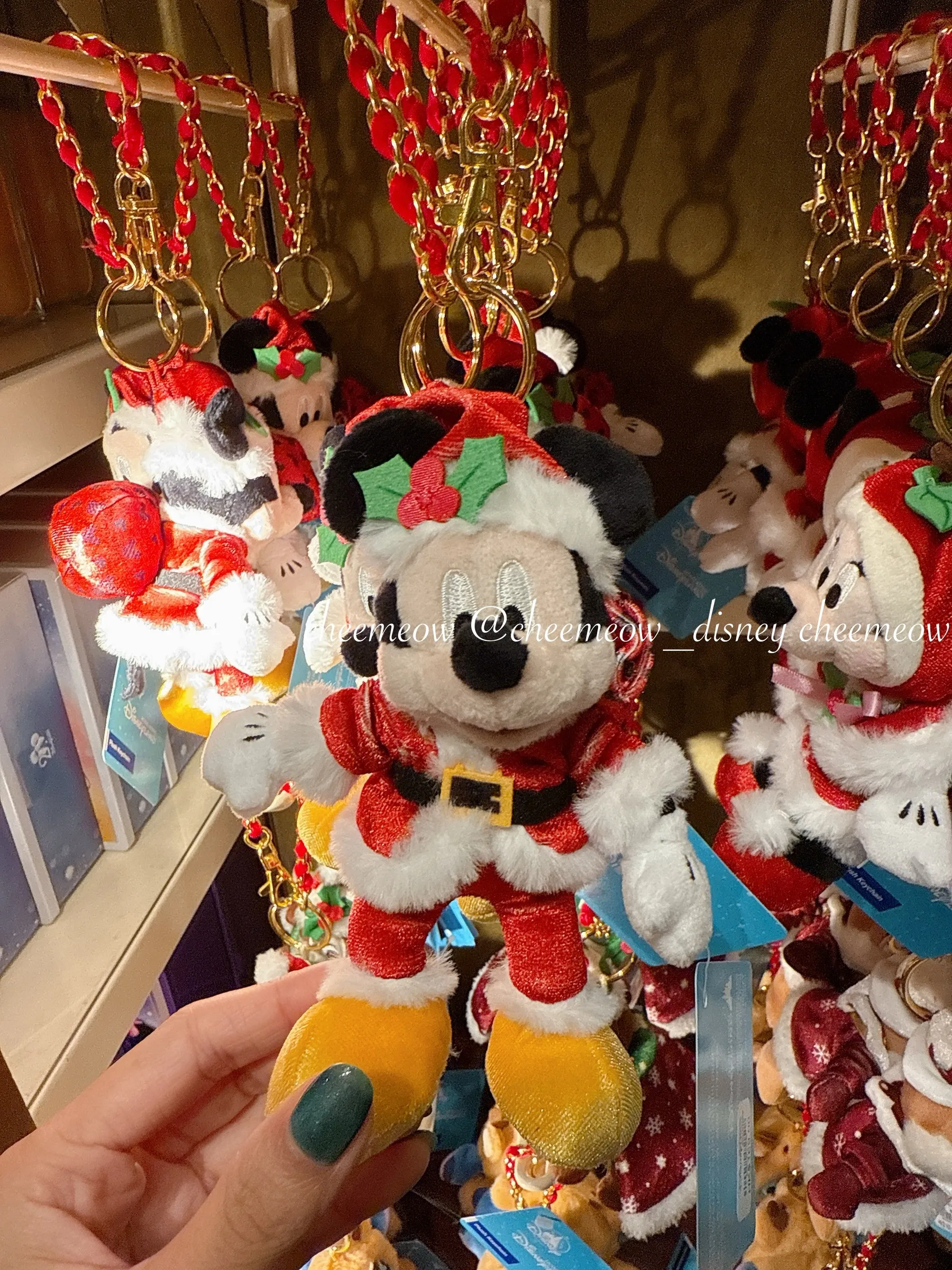 image_3468DFD5-E96B-42C7-8FF1-D7D734003CEC_1764776546