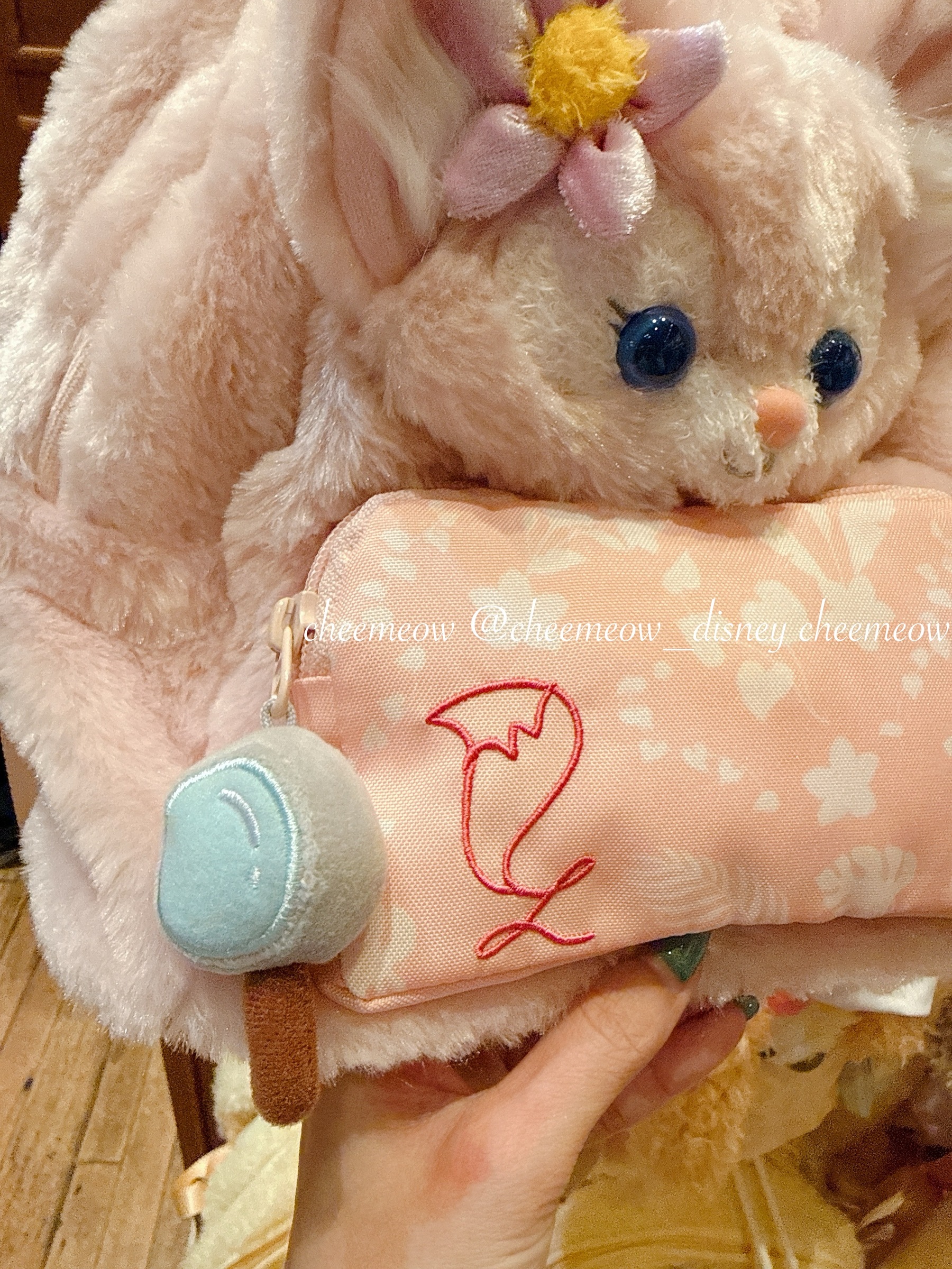 image_8C5A9889-BA99-4799-950B-5A76B4241680_1767009993