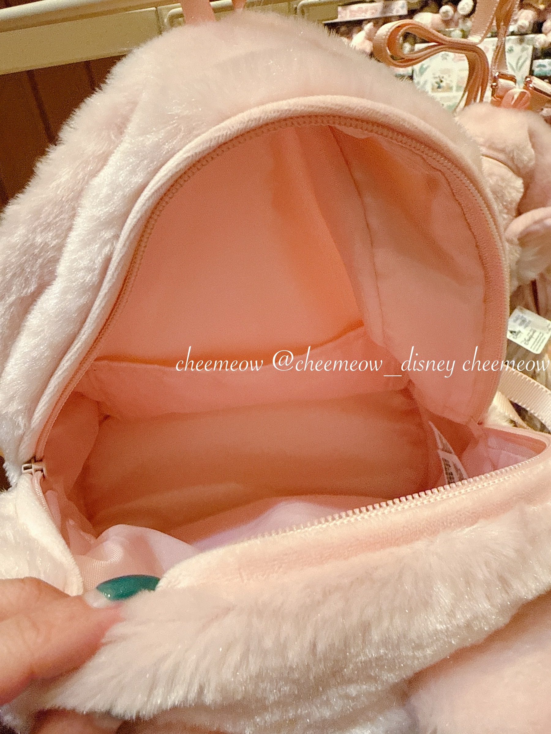 image_9B16BD88-43C9-46FB-BC1C-EE6DC4F0E61E_1767009993