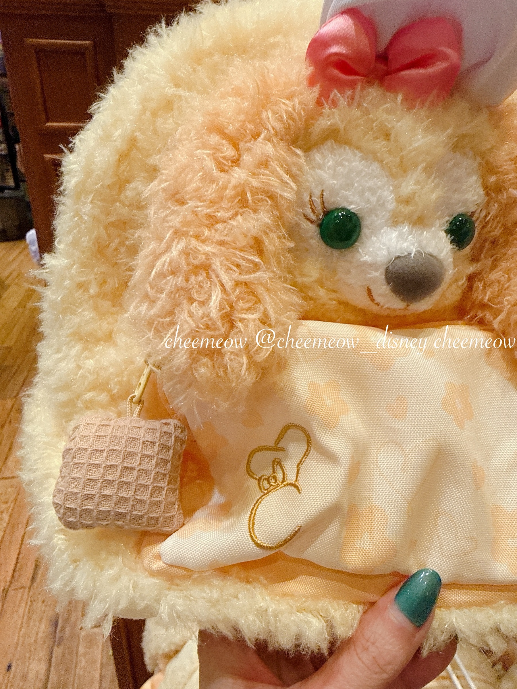 image_33DD5CE2-3204-4753-BE3F-A2C18FB7C0FB_1767010141