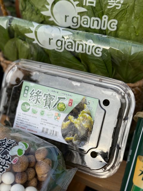 雨來菇特寫