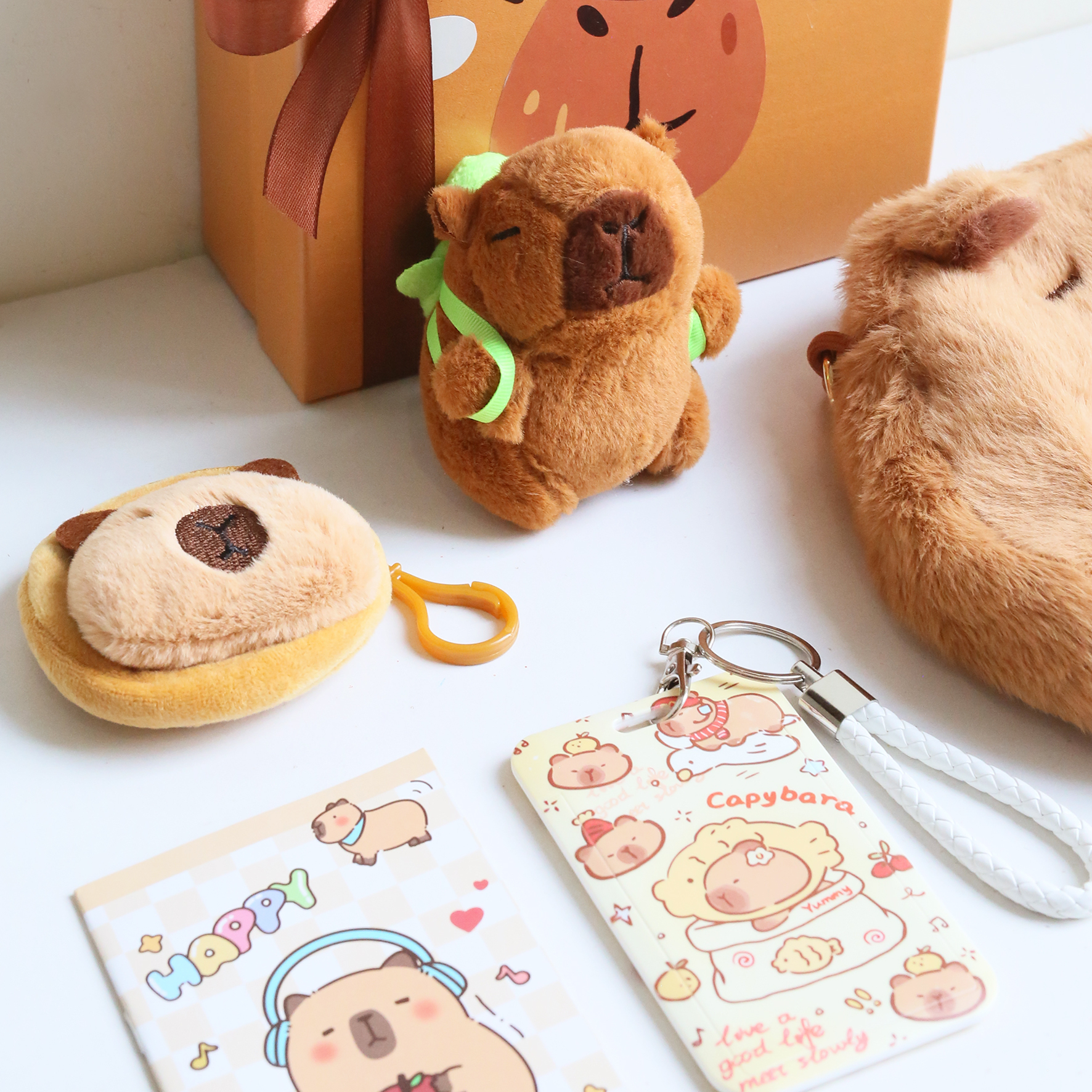 capybara giftbox - edit-6