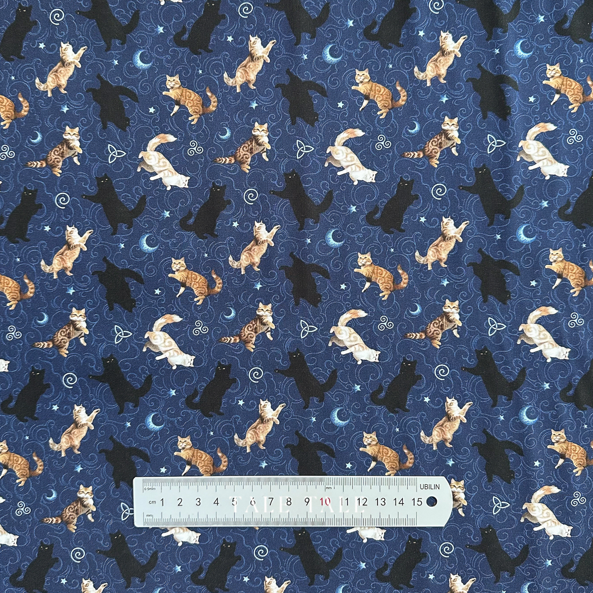 貓林漫步-海軍藍-CD16584-NAVY-1