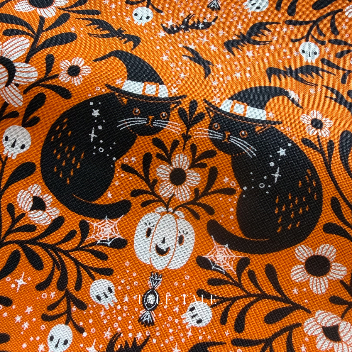 貓育南瓜花-PWCD149.XPUMPKIN-4