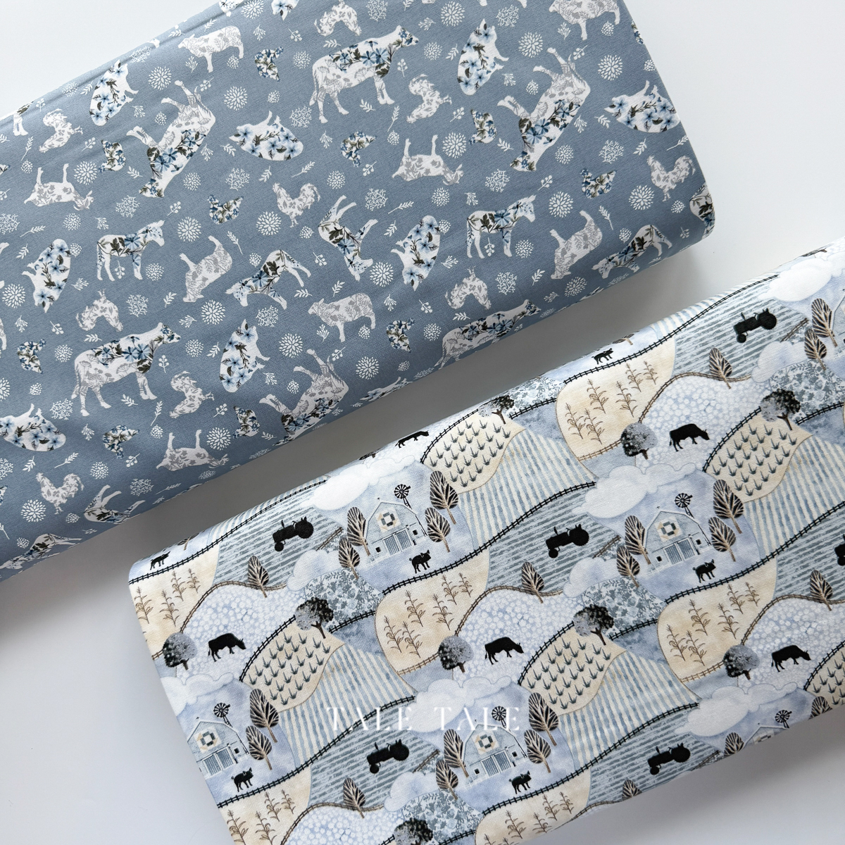 IMG_9773