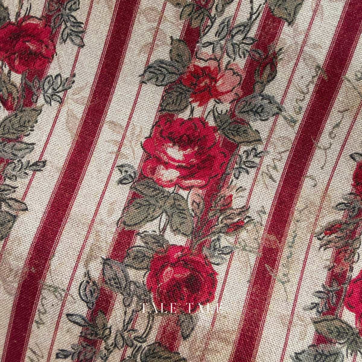 薔薇花枝-邊條-PWTH227-RED-3