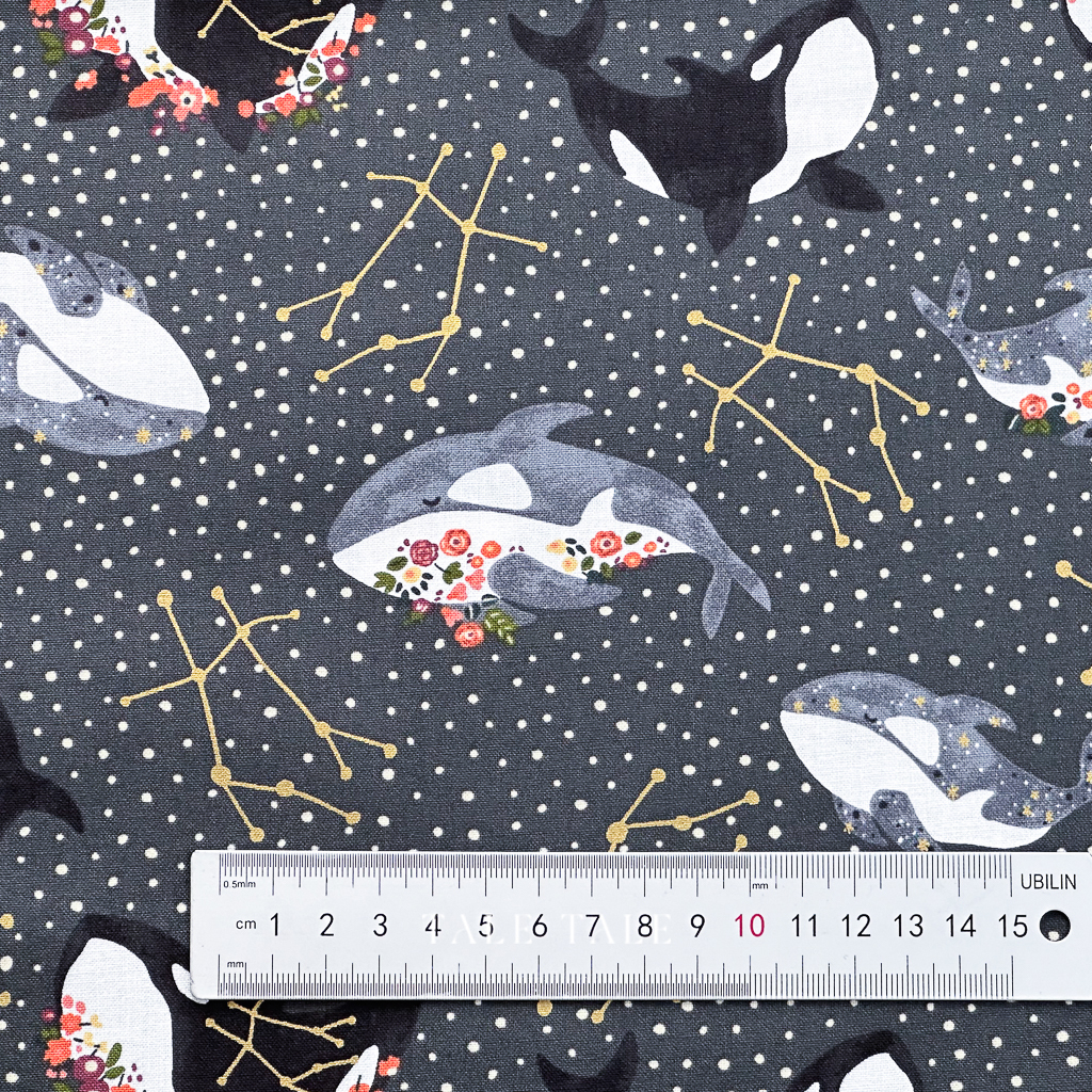 美國品牌棉布-虎鯨的星空序曲-黑-CC400-MI2M-$210半碼-2