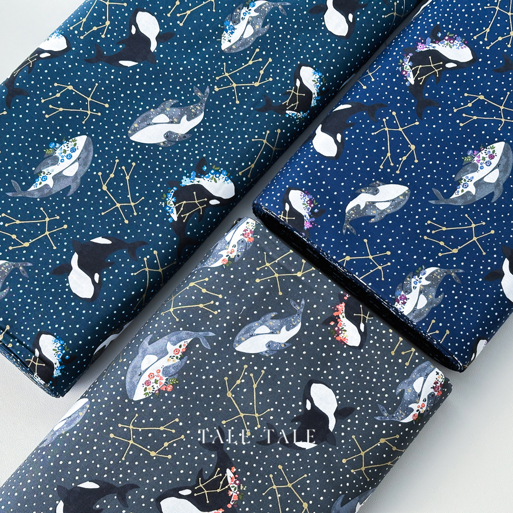 虎鯨的星空序曲-DM4