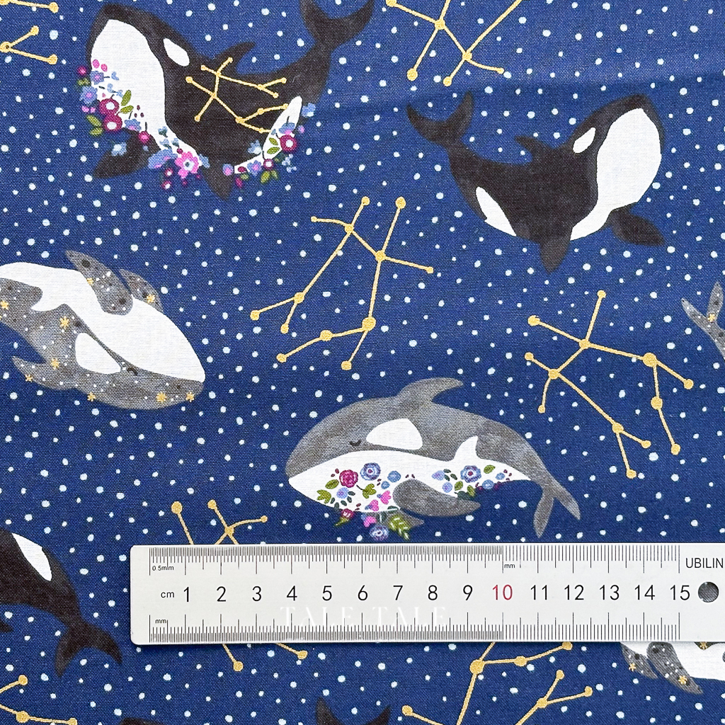 美國品牌棉布-虎鯨的星空序曲-深藍-CC400-PR3M-$210半碼-2