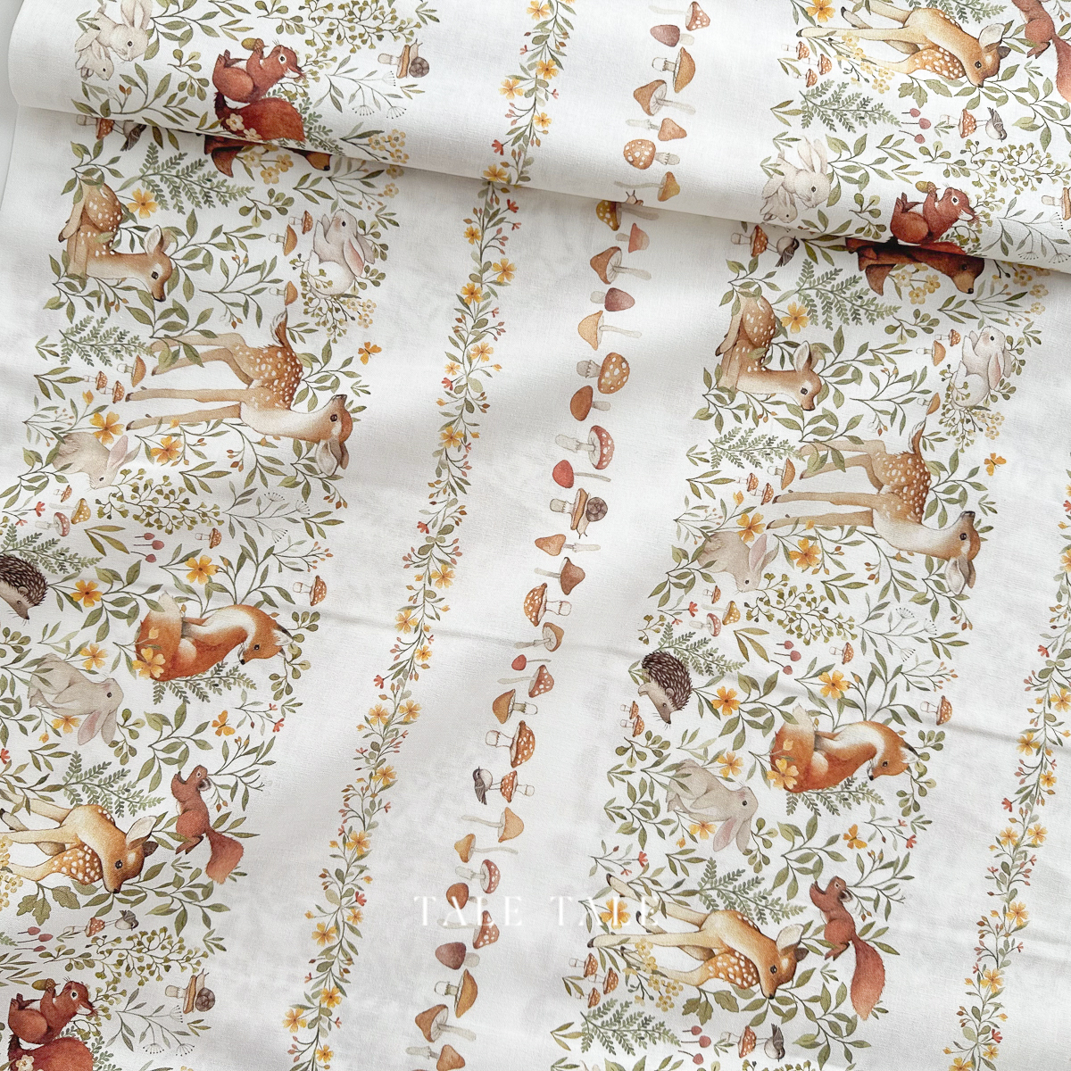 美國品牌棉布-沐森邊條-STELLA-DNS3322-WHITE-5