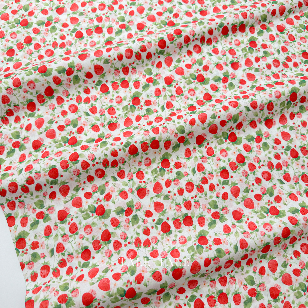 美國品牌棉布-莓心-白-Y4357-1-3