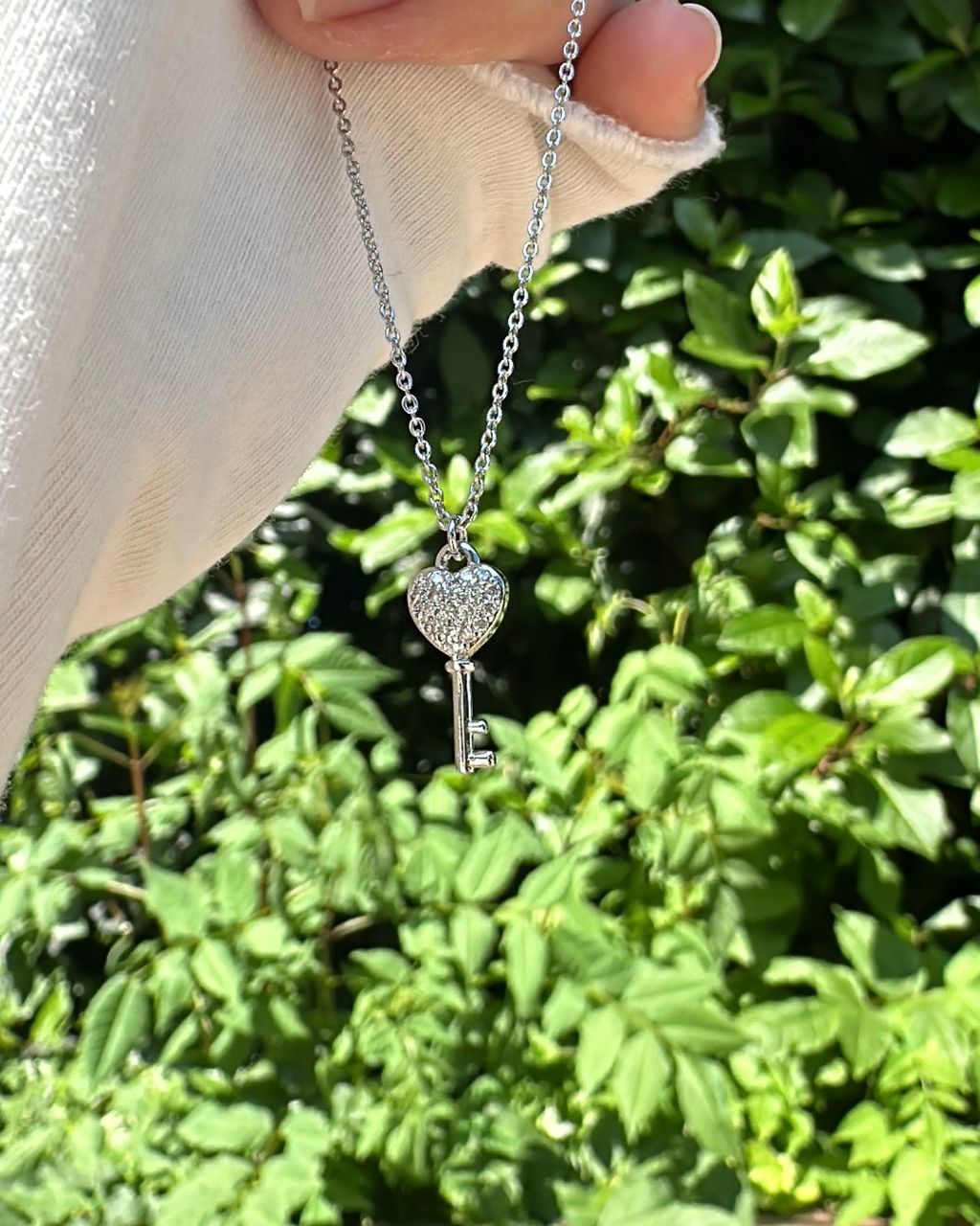 IMG_3668-1717065733522