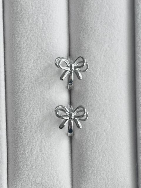 IMG_4026-1739186154241