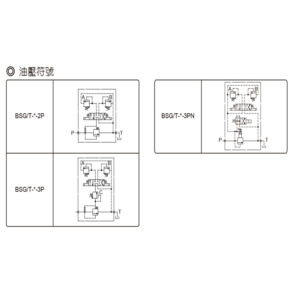 BSG-03-2P