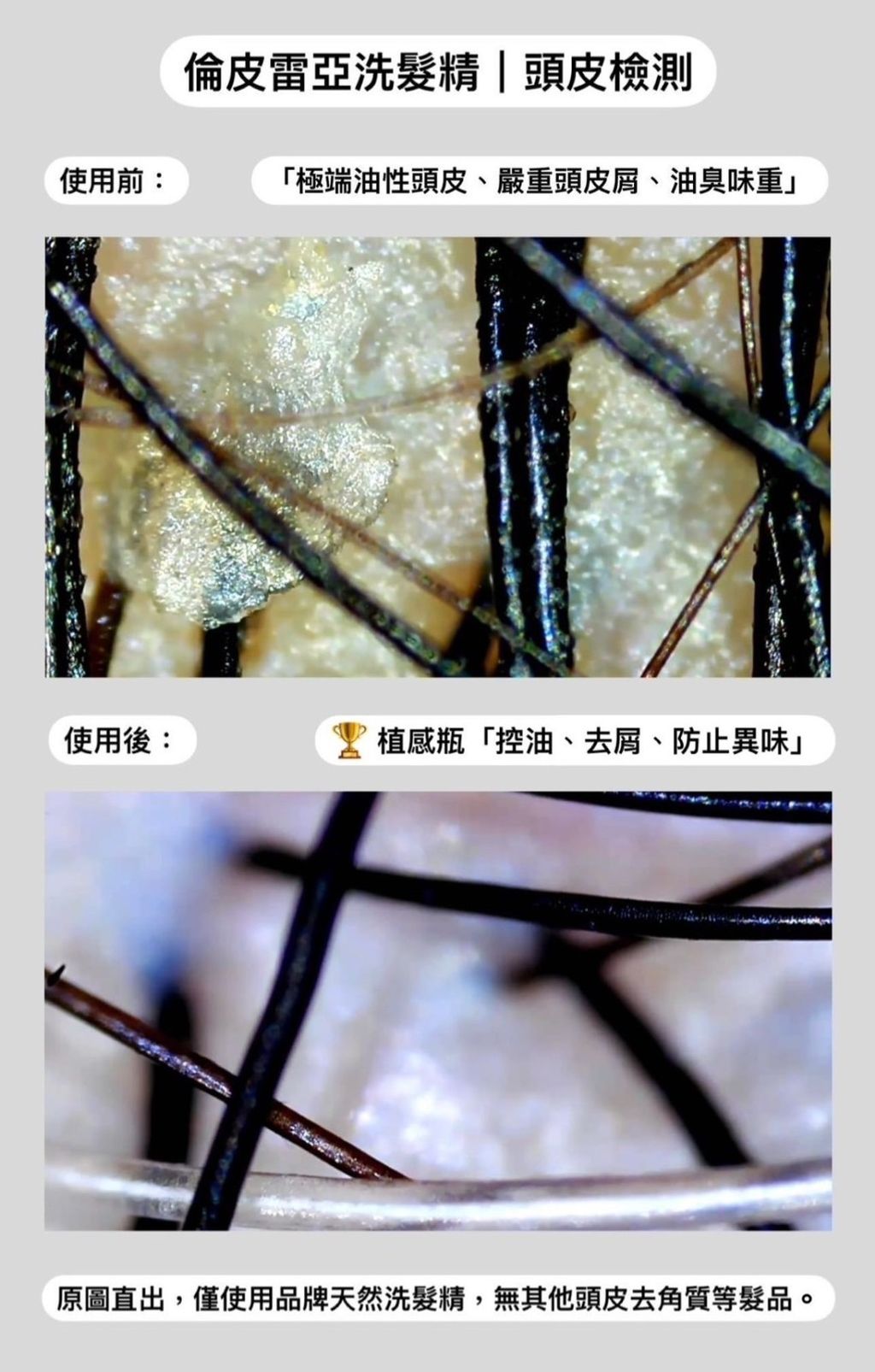 S__589643783