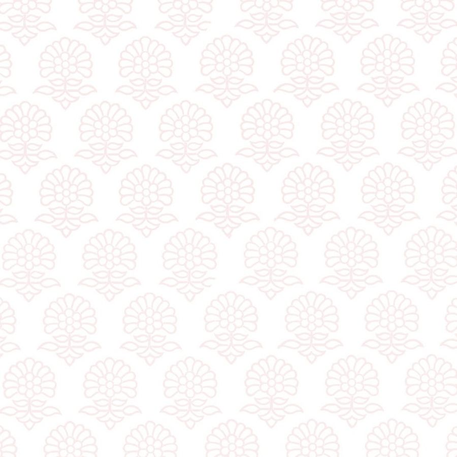 Chantek-nya! | About Us