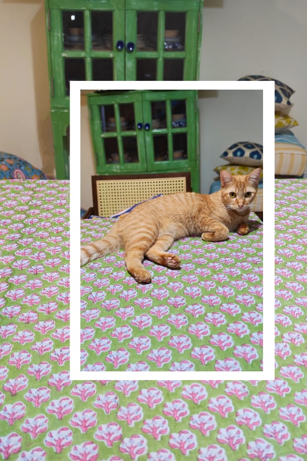 Sarong Green Pink Floral 1