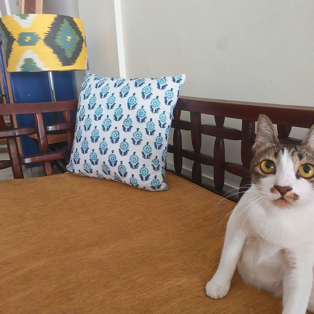 20240510_133303_0000