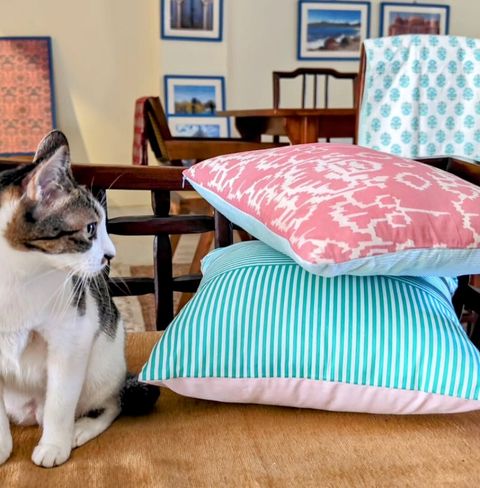 Screenshot_20250212_141842~2