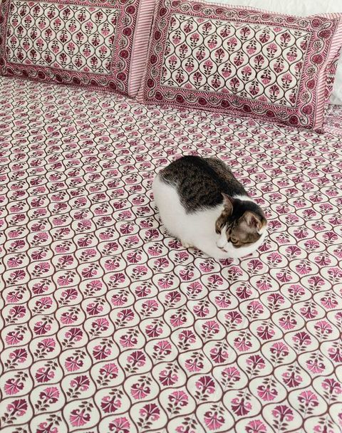 Bedding CL Trellis Pink 2