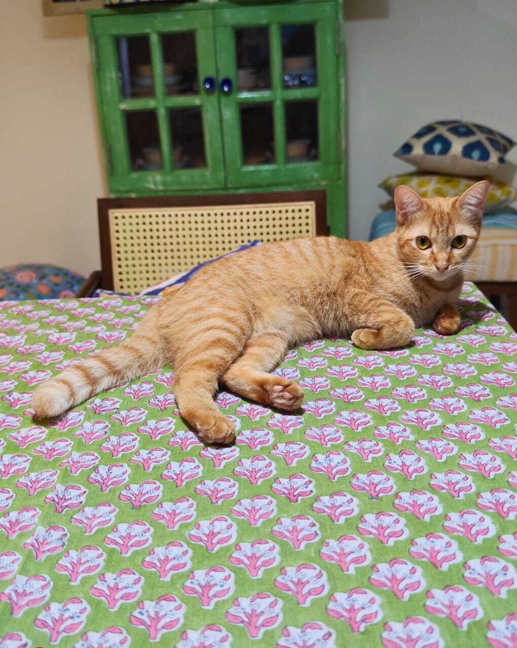 Sarong Green Pink Floral 5