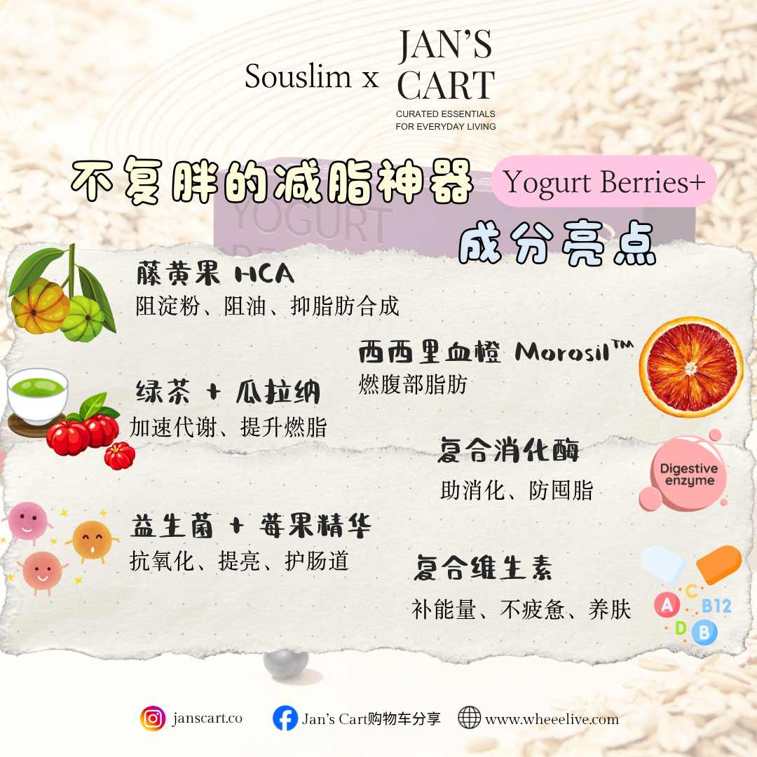 Jan's Cart 团购Poster (29)