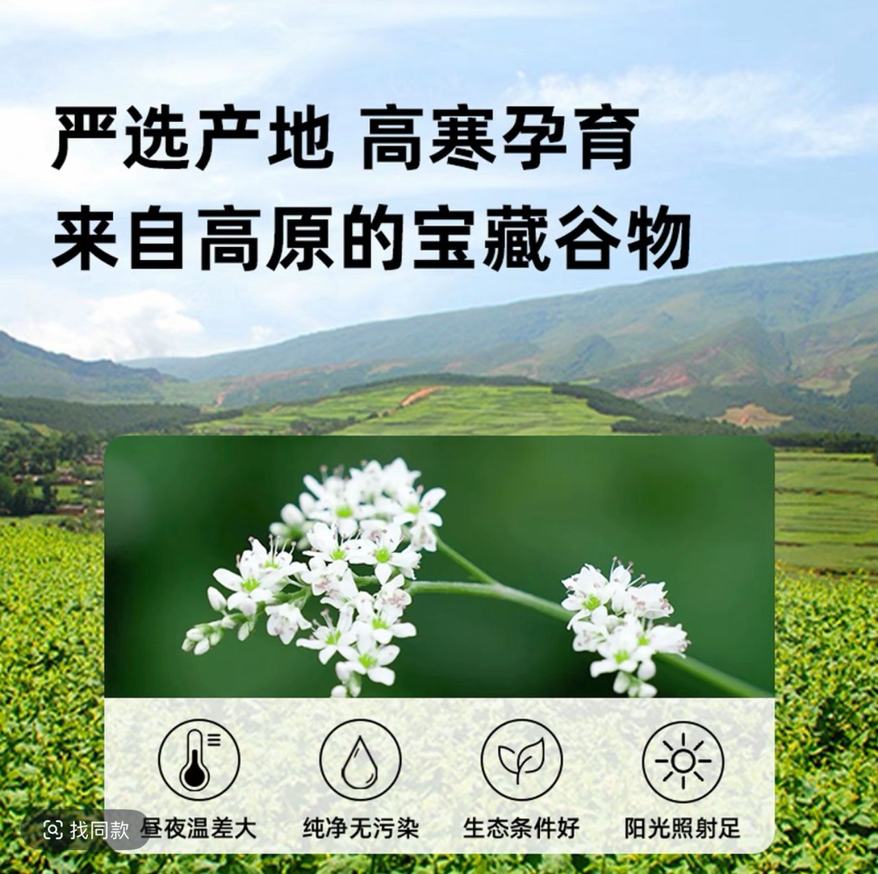 WhatsApp Image 2025-08-12 at 13.11.28
