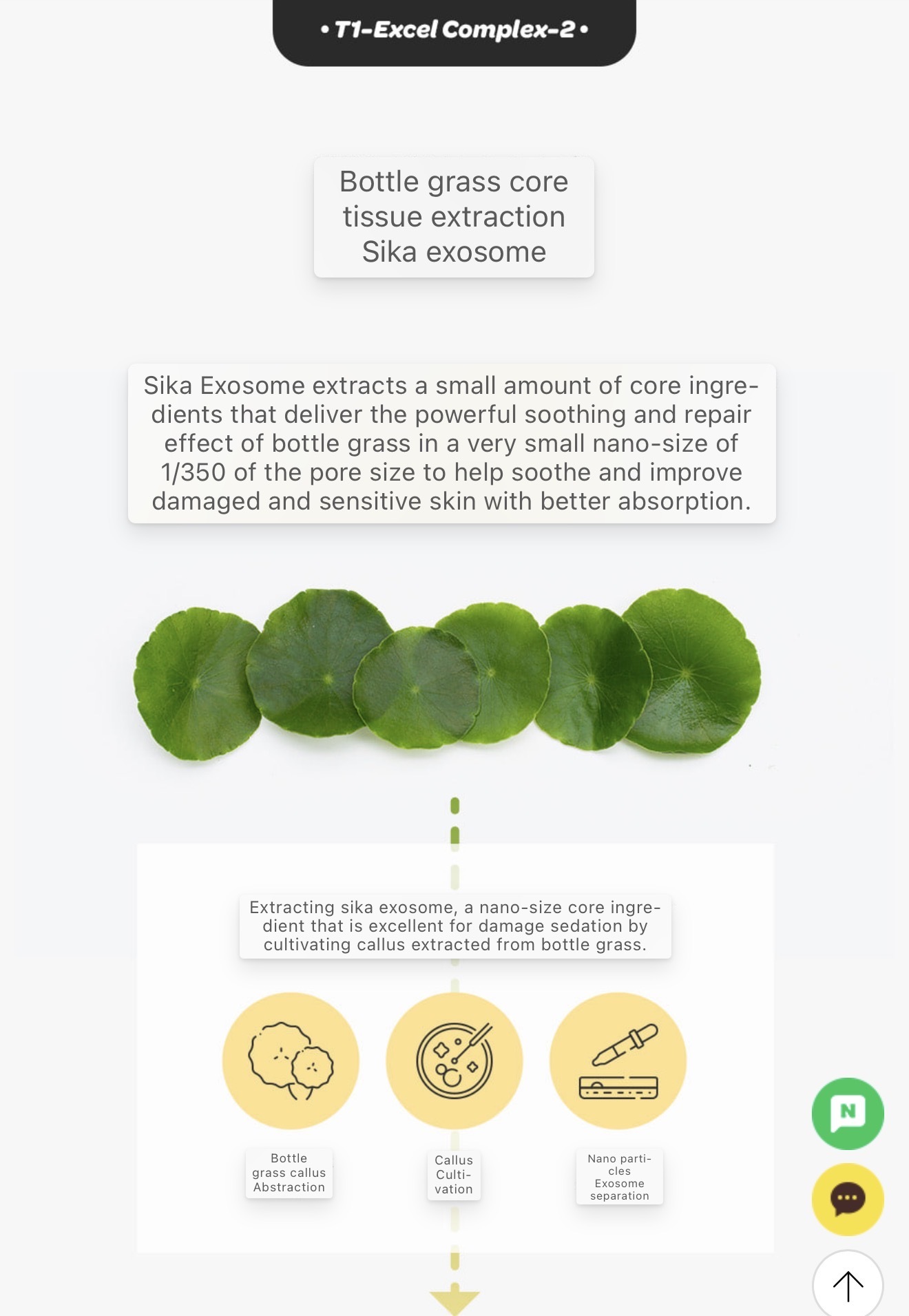 image_A01365DB-7158-4EC0-B4A7-DAA6C7914EAD_1765794239