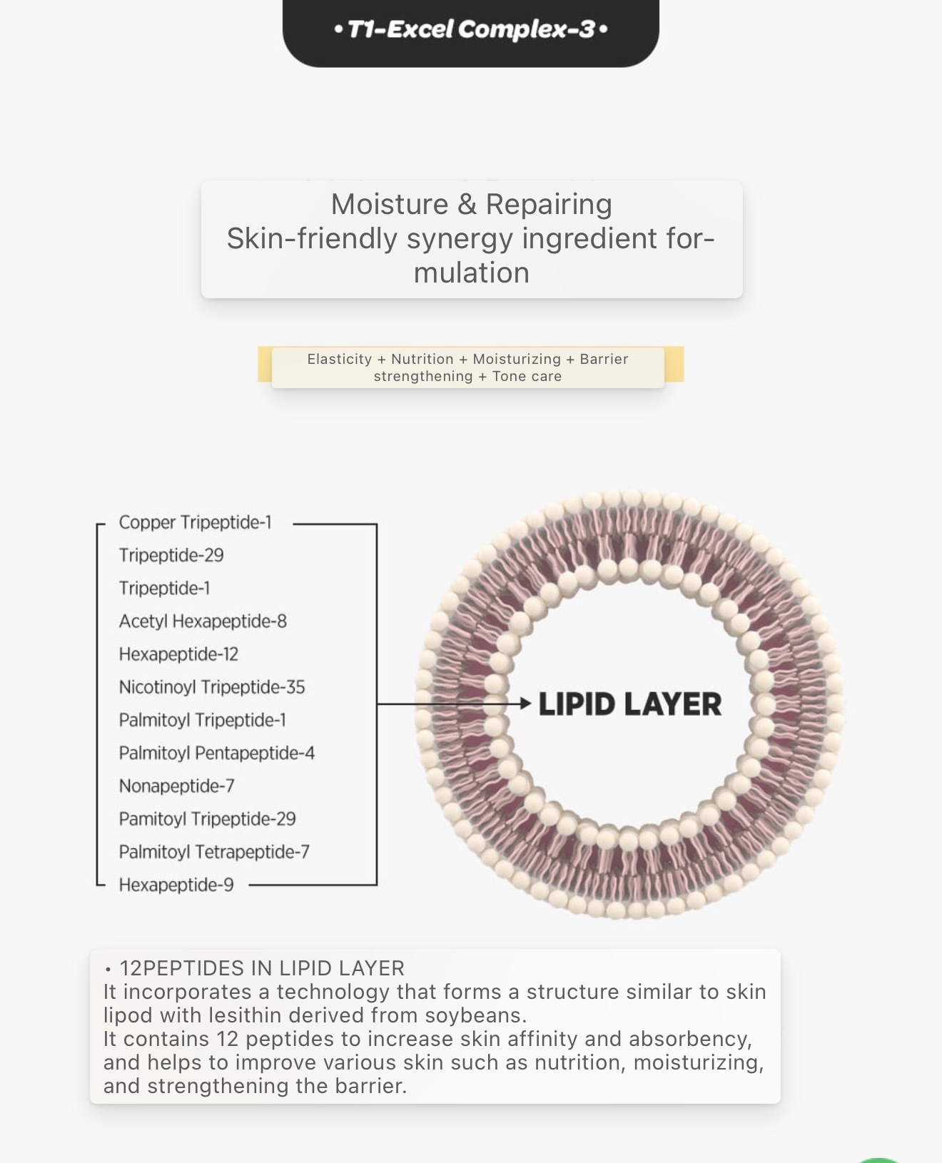 image_3D086F79-9D16-4A9D-8939-9C1BF1E97F43_1765794239