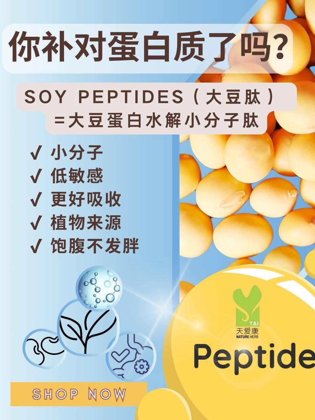 photo_2026-01-19 15.39.02