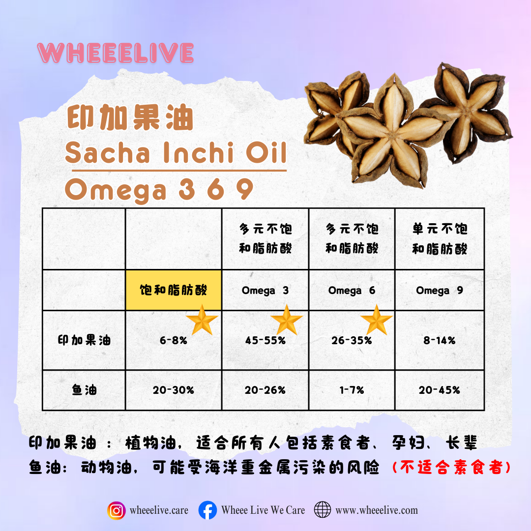 image_0B7305A1-E792-41E0-822A-F1092BFBA223_1769510226