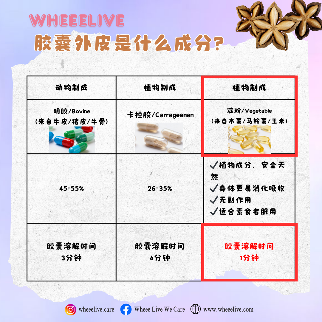 image_F32CC98B-2D39-4581-A01C-0C01439CB7C9_1769510226