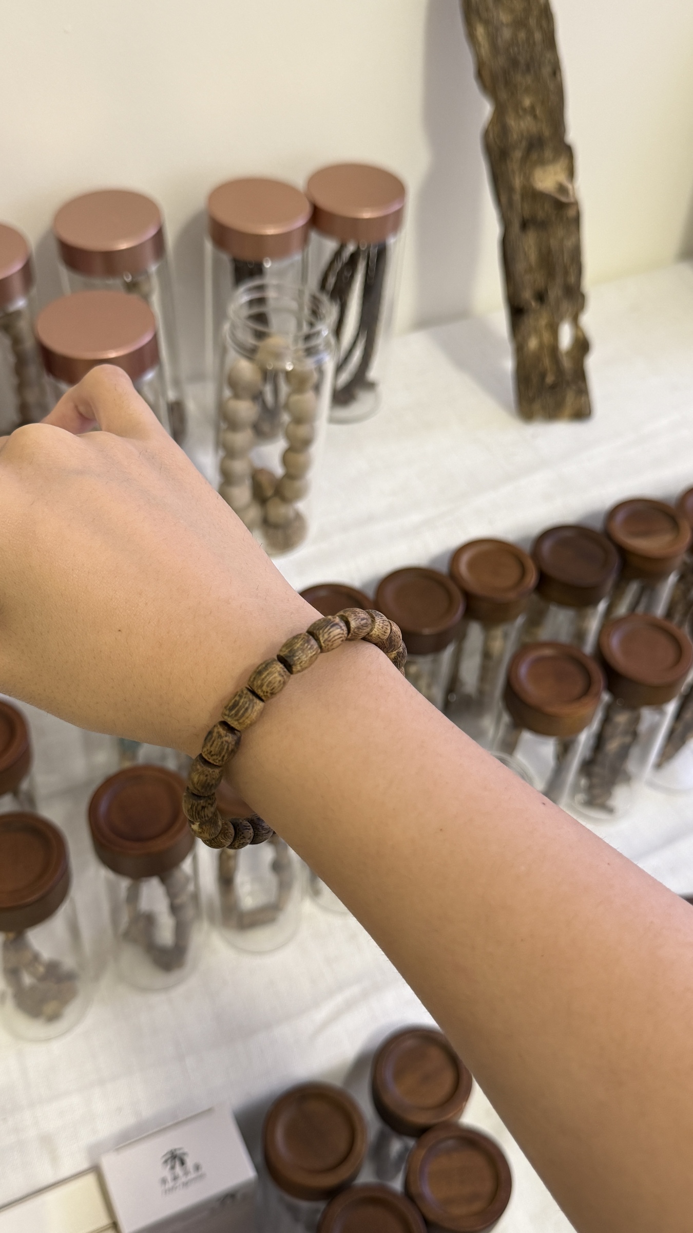 image_407D24ED-6FBC-412E-89F1-76CA9C88F6A2_1771922611