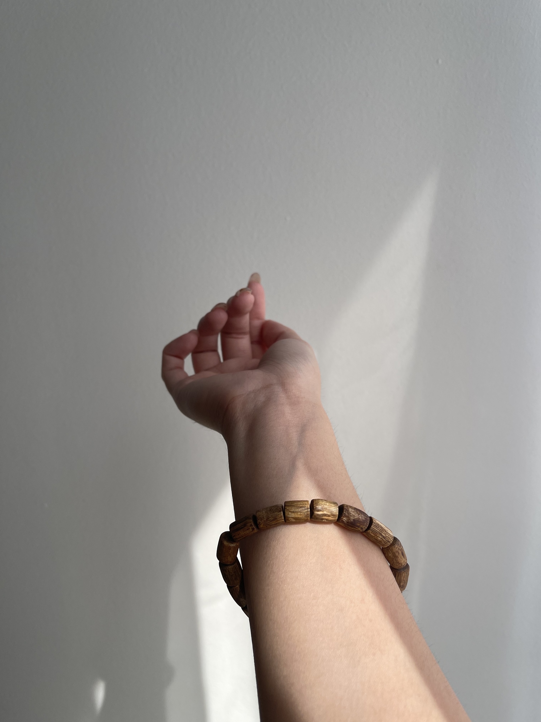 image_498B493D-3FD8-47C5-BA90-CDACC8FF5E8A_1772185935