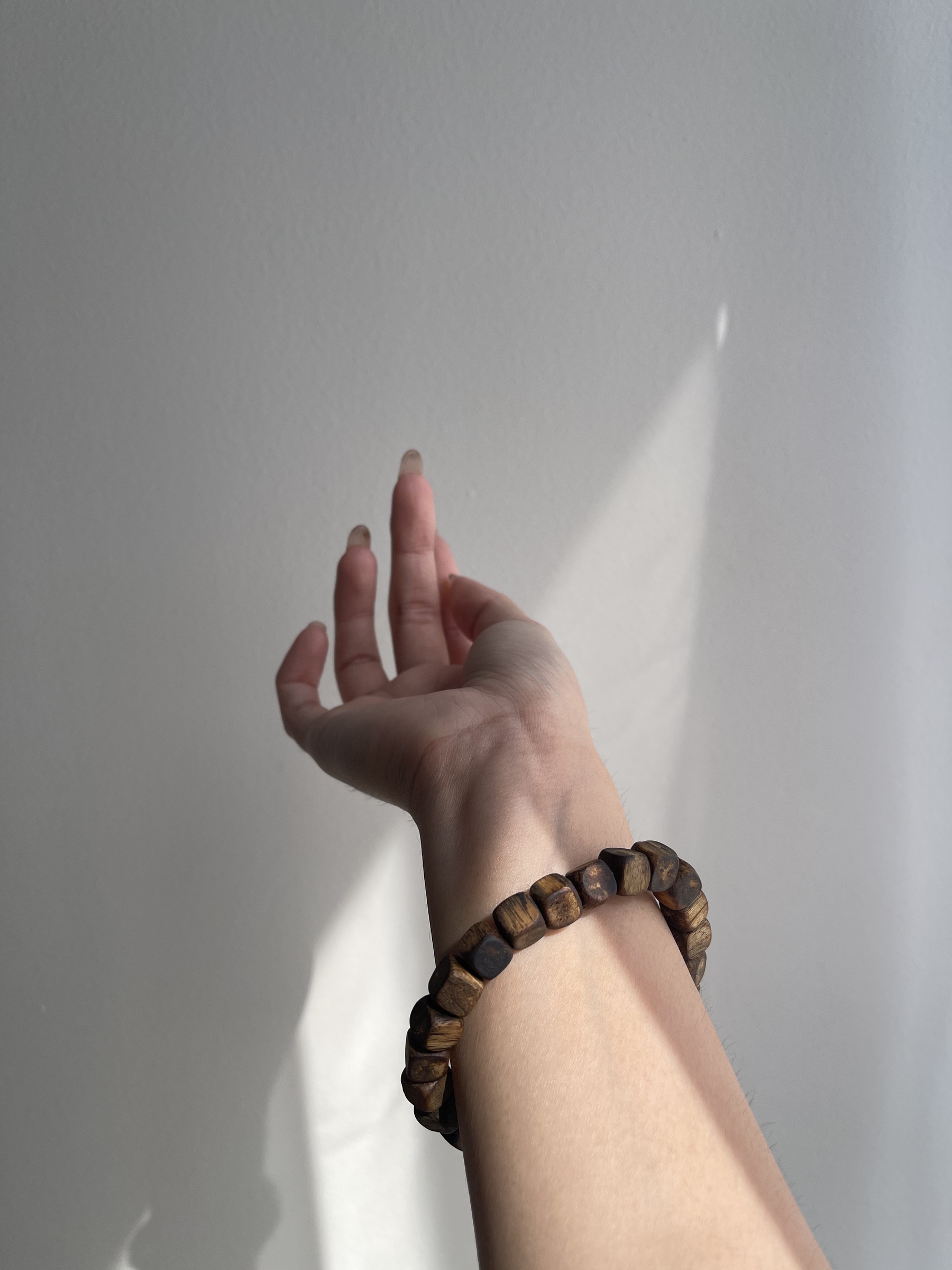 image_8C4C0064-C23A-4524-996E-3525B7708EE2_1772186561