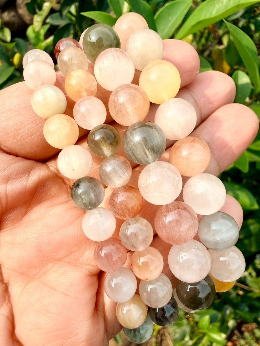 LINE_ALBUM_2026413_260413_39