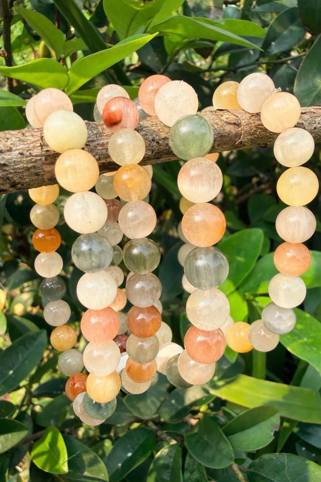 LINE_ALBUM_2026413_260413_43