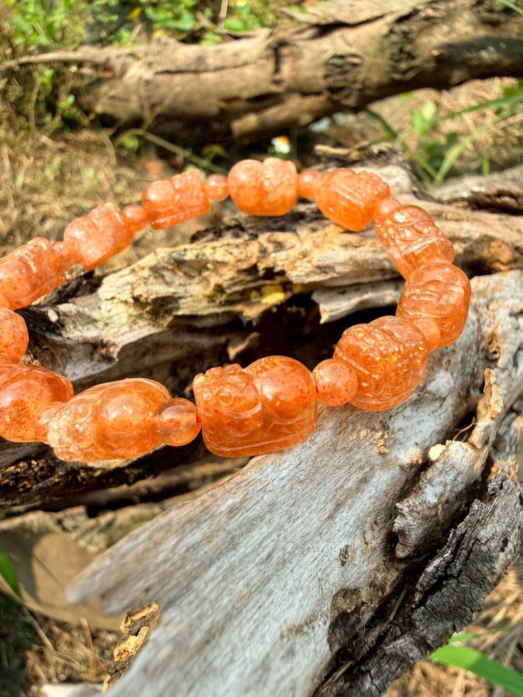 LINE_ALBUM_2026413_260413_34