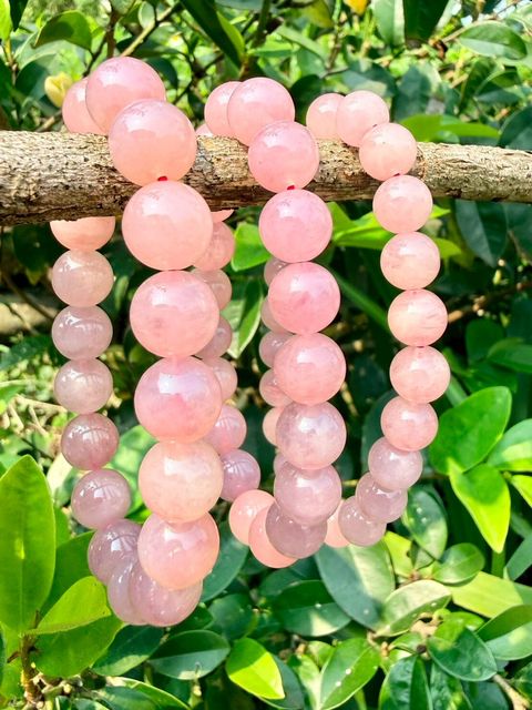 LINE_ALBUM_2026413_260413_23