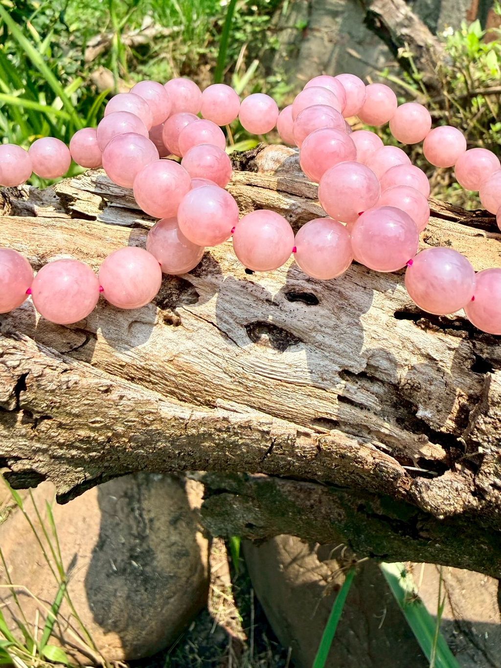 LINE_ALBUM_2026413_260413_8