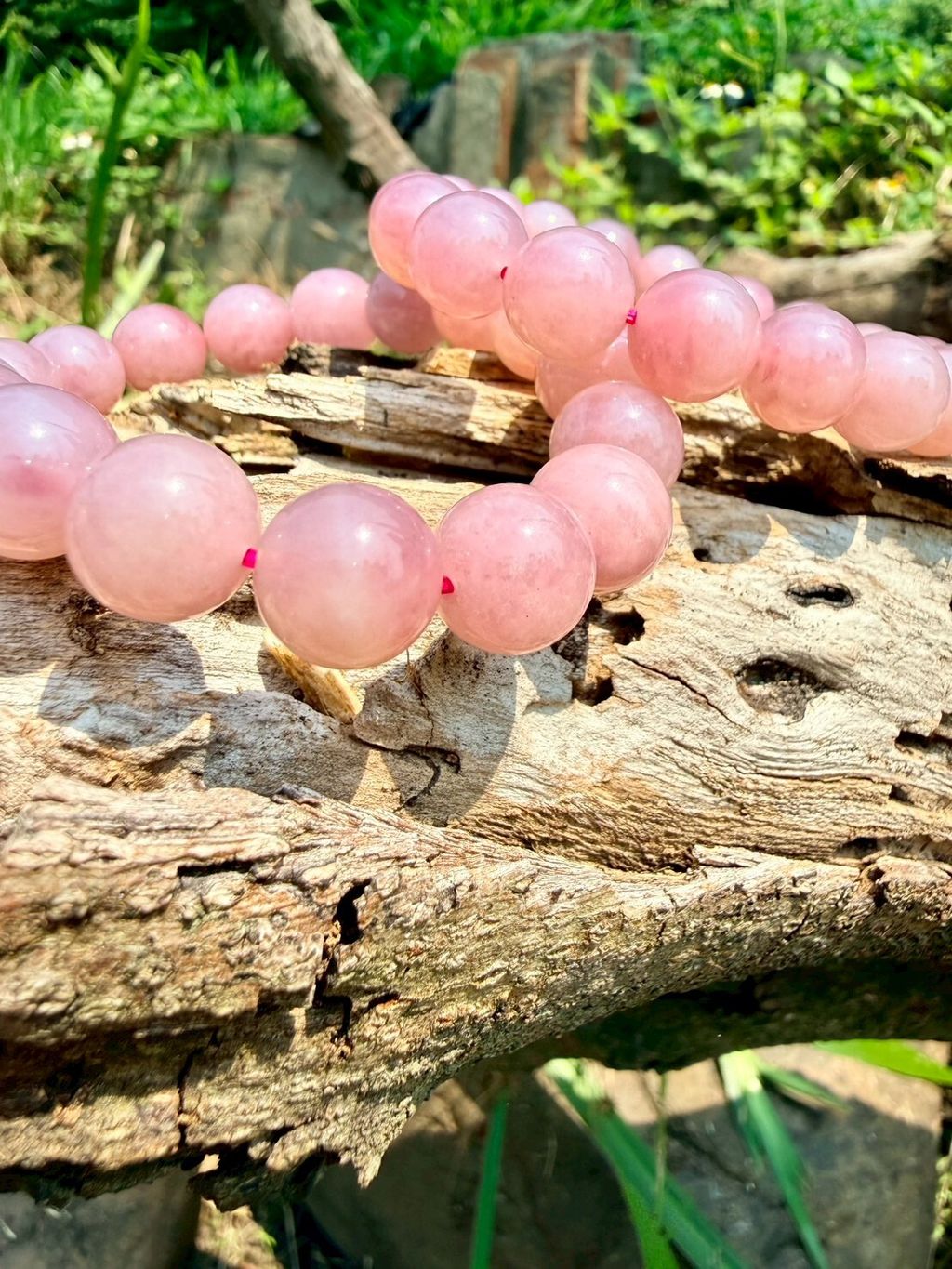 LINE_ALBUM_2026413_260413_6