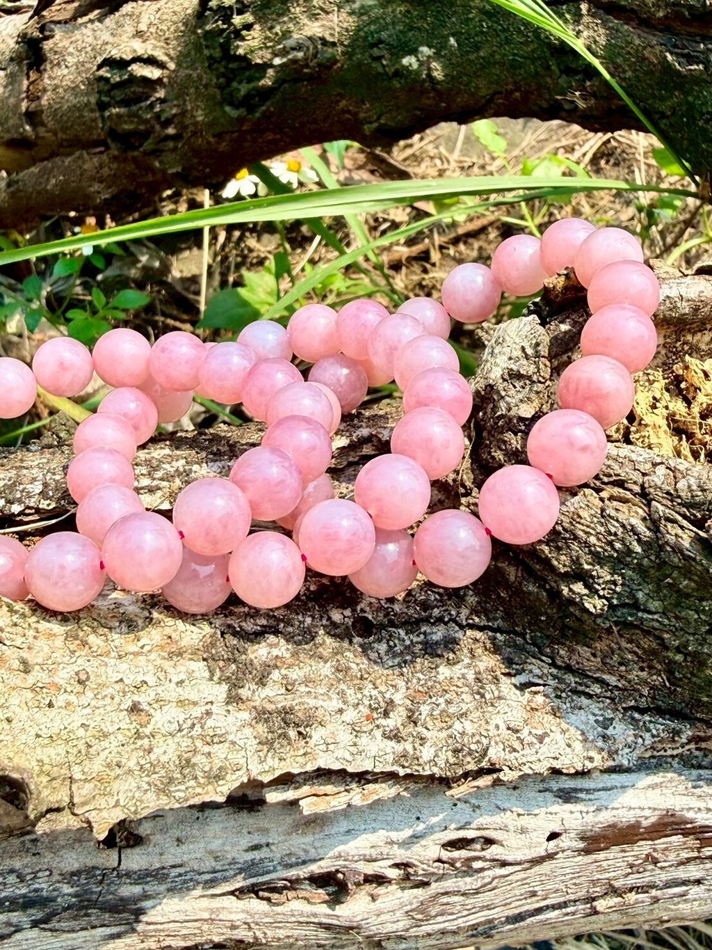 LINE_ALBUM_2026413_260413_10