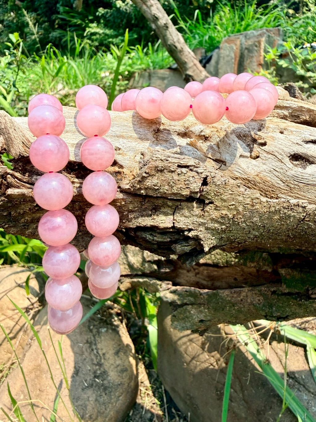 LINE_ALBUM_2026413_260413_5