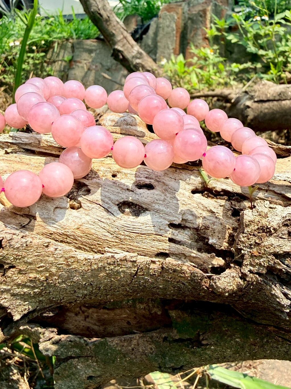 LINE_ALBUM_2026413_260413_9