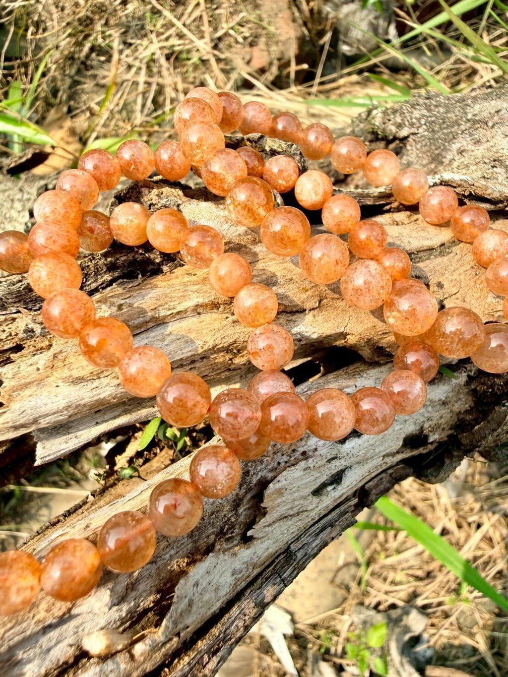 LINE_ALBUM_2026413_260413_27