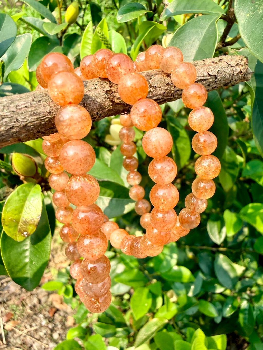 LINE_ALBUM_2026413_260413_26