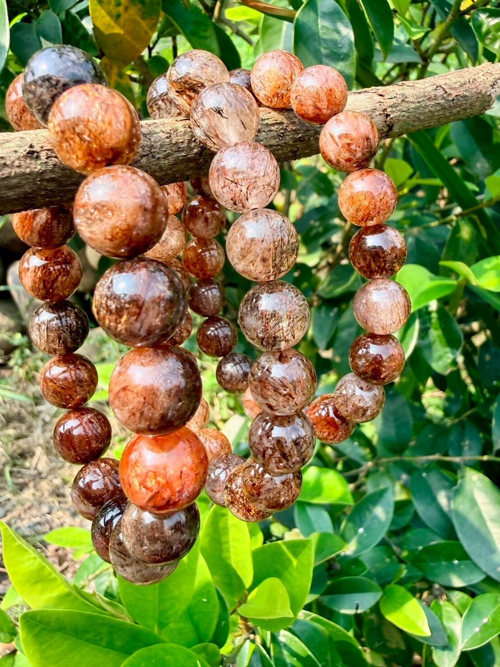 LINE_ALBUM_2026413_260413_22