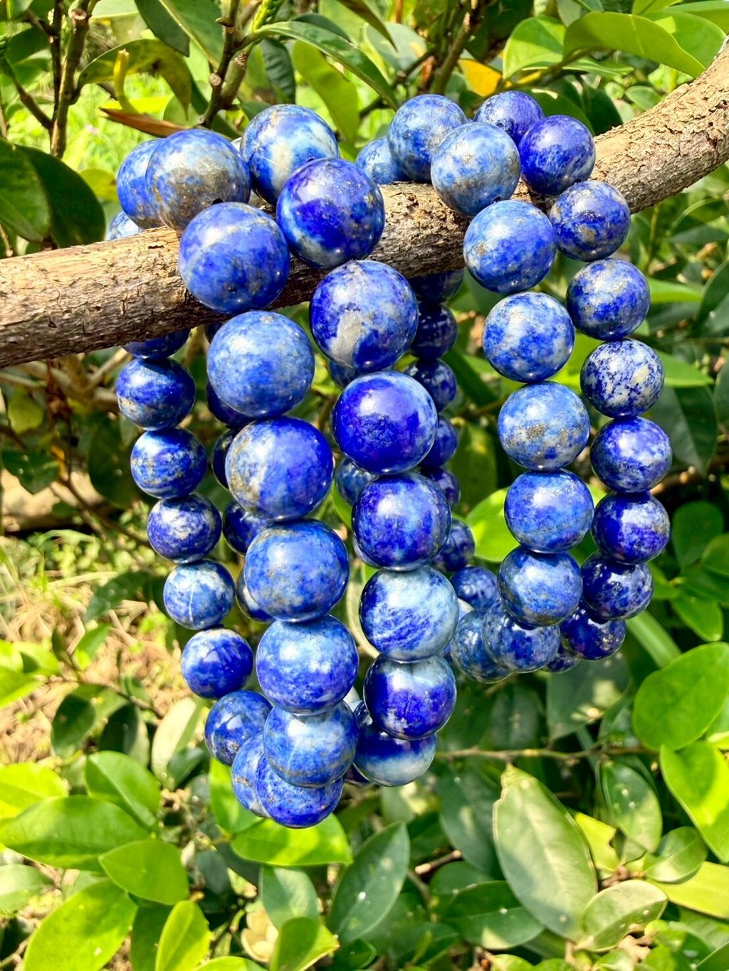 LINE_ALBUM_2026413_260413_15