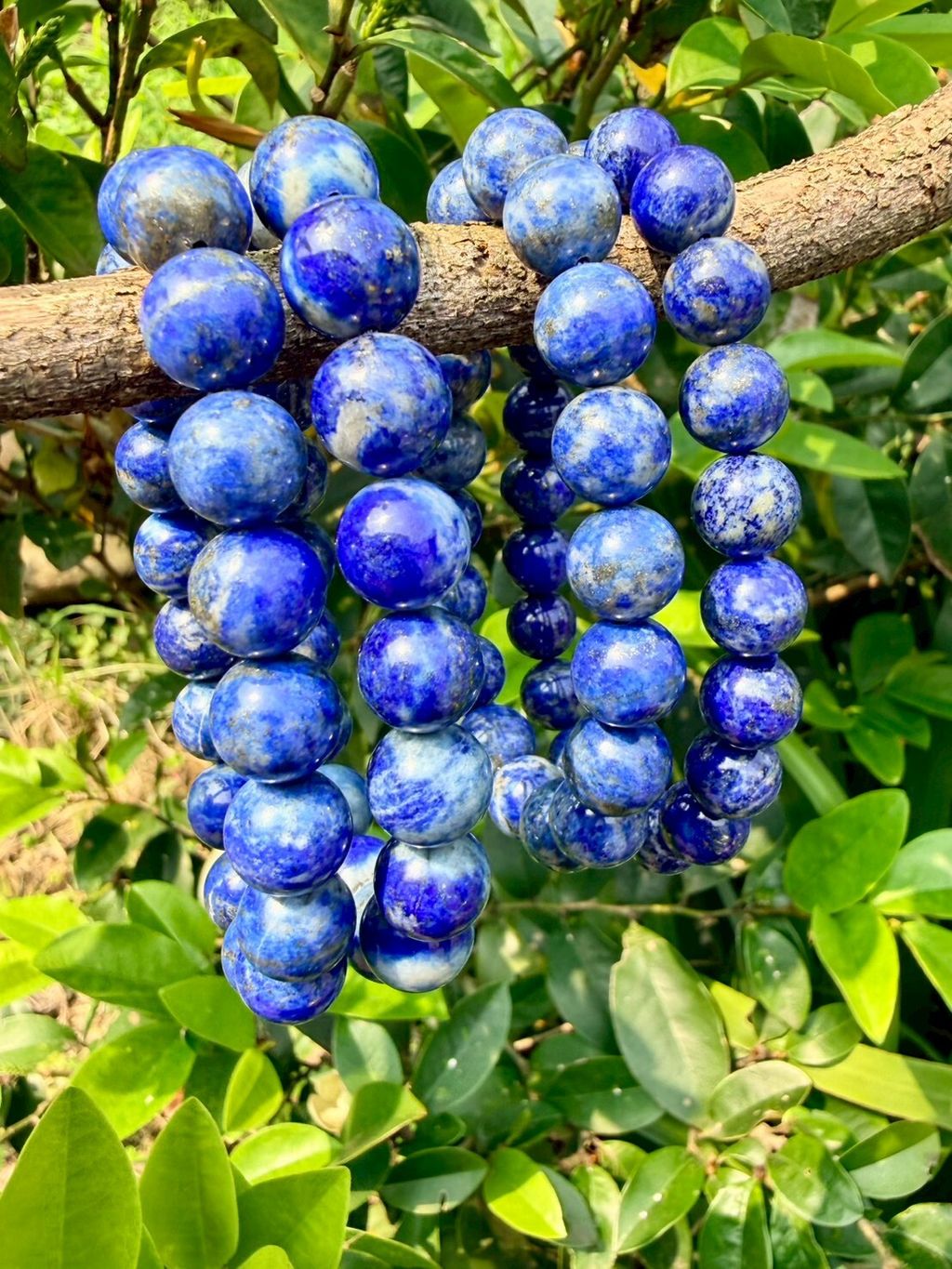 LINE_ALBUM_2026413_260413_14